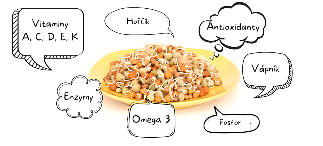 Klíčící miska na mungo